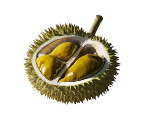 Close up of durian fruit on a transparent background Ai generative.