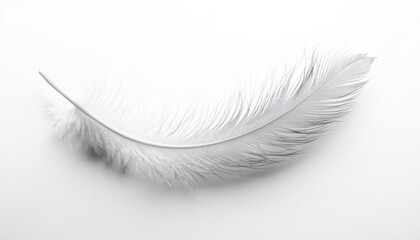 Obraz premium Ethereal White Feather: Delicate Symbol of Purity and Warmth. Elegant Minimalist Design for Winter Comfort Advertising, Down Jacket Marketing, and Dreamy Bedding Concepts. Abstract white feather