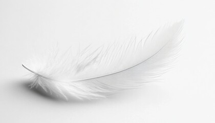 Obraz premium Ethereal White Feather: Delicate Symbol of Purity and Warmth. Elegant Minimalist Design for Winter Comfort Advertising, Down Jacket Marketing, and Dreamy Bedding Concepts. Abstract white feather