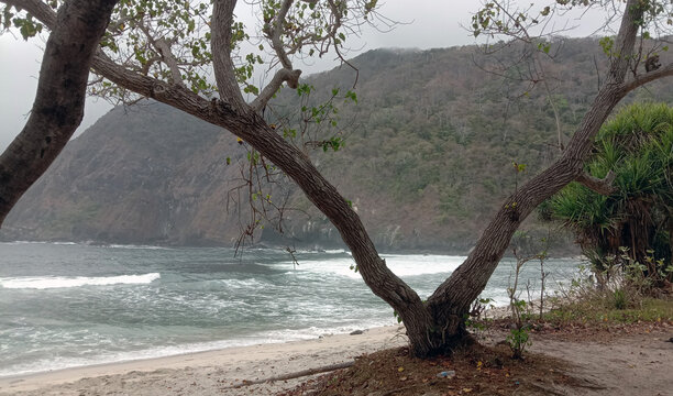 papuma beach indonesia