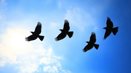 Obraz premium Silhouettes of Four Birds Flying in a Blue Sky