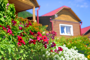 Landscaped garden with terrace, wooden cottage, wooden gazebo and patio decorated summer flowers. Cottage and vacations, mountain hotel resort