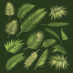 Assorted green tropical palm leaves on a dark green background.