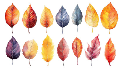 Obraz premium A collection of vibrant autumn leaves in various colors, suitable for seasonal or nature-themed designs.