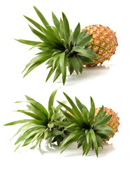Pineapple on a white background