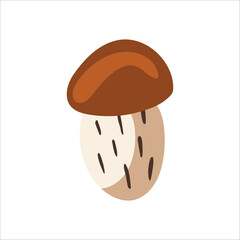 Vector isolated element. An edible mushroom. Orange-cap boletus. Autumn time. Color image on a white background. The print is used for packaging design.