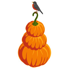 vector drawing vegetables and bird, orange pumpkins and american robin, thanksgiving day element isolated at white background, hand drawn illustration