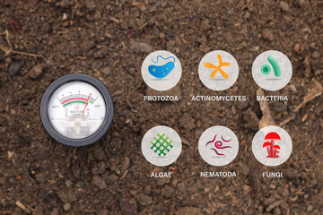 ph meter with soil microbe icon. Depicts that proper pH helps soil microbe growth