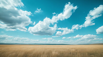 Obraz premium Expansive Horizon with Swaying Grasslands