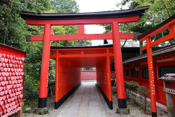 A Japanese shrine : a scene of the precincts of Sanko-inari-jinjya Shrine in Inuyama City in Aichi Prefecture