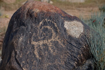 Open-air petroglyph museum in Kyrgyzstan