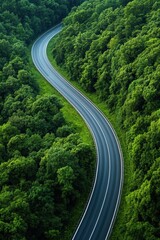 Winding road through lush green forest, showcasing nature's beauty and tranquility in a scenic landscape.