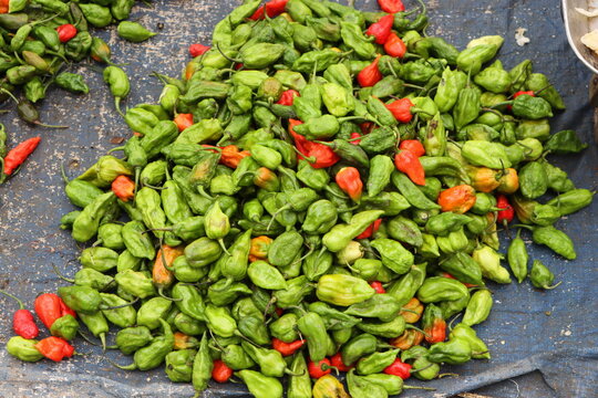 Bhut jolokia or ghost pepper chilli at local market