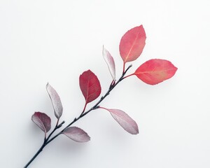 Obraz premium Elegant Plants Showcase on Minimalism White Backdrop: Capturing Vitality and Radiant Beauty, Graphic Resources, Wallpapers, illustration,