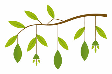 branch with  leaves vector illustration on a white background