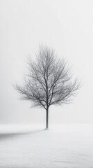 Elegant Plants Showcase on Minimalism White Backdrop: Capturing Vitality and Radiant Beauty, Graphic Resources, Wallpapers, illustration,