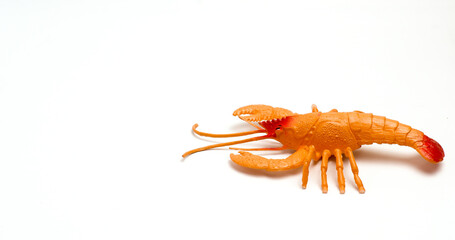 A Children's Toy In The Shape Of A Shrimp On A White Background Isolated  And With Photo Technique Leaving Left