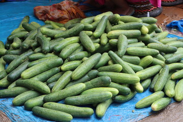 Fresh vegetables from the farm, a lot of organic cucumbers in the local market for sale