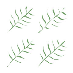 Green organic leaves icon set isolated vector illustration.