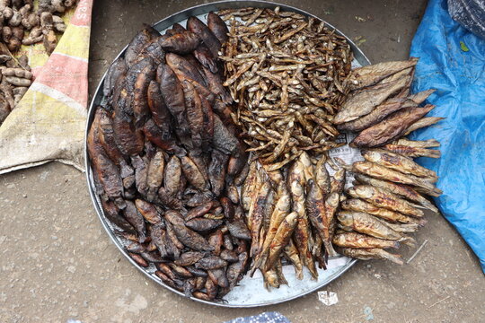 Dry salted fish for sale