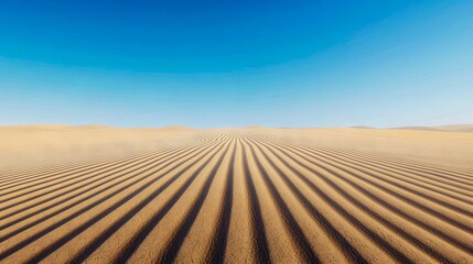 Naklejka premium A sand dune in the middle of a desert with a blue sky