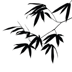 Black silhouette of bamboo leaves on white background isolated. Drawing vector illustrations. Botanical hand drawn element.