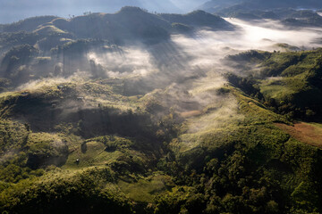 Obraz premium Landscape of Morning Mist with Mountain Layer at north of Thailand. mountain ridge and clouds in rural jungle bush forest