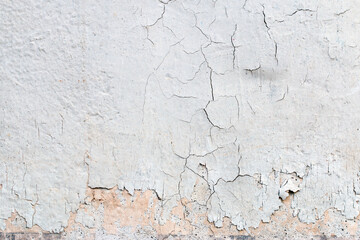 Light Gray Stucco Wall Texture. Abstract Background