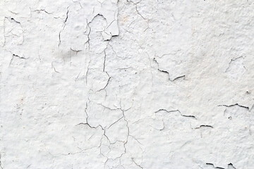 Obraz premium Light Gray Stucco Wall Texture. Abstract Background