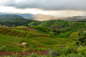 Terraced rice field at Mae Cham Chiangmai Northern Thailand