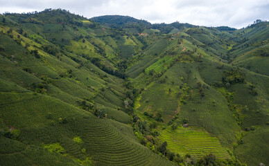 Terraced rice field at Mae Cham Chiangmai Northern Thailand
