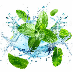 Fresh mint leaves splashing in crystal clear water, symbolizing freshness and natural flavor. Perfect for culinary or wellness themes.
