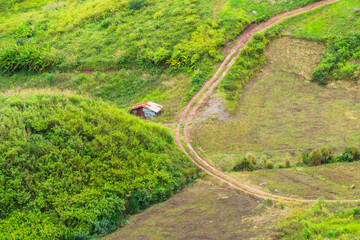 A dirt route wheel track on slope of greenery hillside with a small hut. Nature outdoor field...