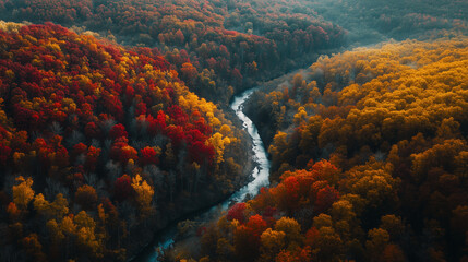 Obraz premium An aerial view of a forest during peak fall, a stunning mosaic of reds, oranges, yellows, and greens as the trees blend together. The view captures the rolling hills, valleys, and a river. 