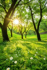 Obraz premium Sunlight filters through trees in a serene green meadow during a vibrant spring afternoon