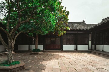 A leafy tree casts shade on a stone courtyard, with a traditional Chinese building and wooden doors...
