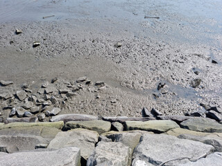This is a close-up of the mud flat and stone wall.