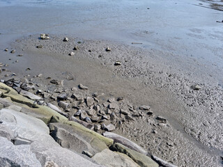 This is a close-up of the mud flat and stone wall.