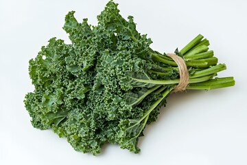 A bunch of fresh kale tied with twine, showcasing its curly leaves and vibrant green color.