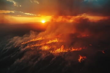 Naklejka premium Burning Wildfire, from above