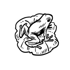 frog logo design nature for everyone