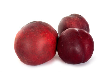 nectarines in studio
