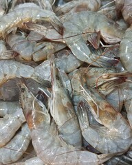 Raw Shrimp Fresh Ingredients In Supermarket Ready To Use | Natural Photos Prawn Seafood