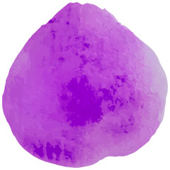 Purple watercolor vector illustration with a soft, abstract shape. Ideal for creative projects, digital designs, and backgrounds. Vibrant hue adds a splash of color and texture to any composition
