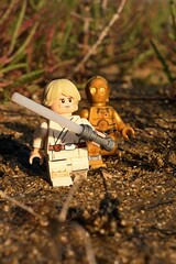 Naklejka premium LEGO Star Wars character Luke Skywalker with white lightsaber and golden android C3PO walking on shoreline sand sunlit by summer late afternoon sunshine, some Salicornia plants in background.