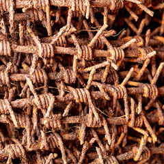 Close-up of rusty metal barbed wire