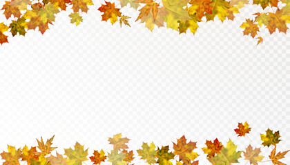 Autumn leaves are scattered randomly on a transparent background. Bright beautiful foliage. Autumn ornament. Vector for web design and illustrations.