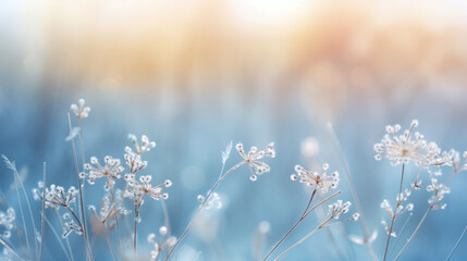 Abstract background with dry white winter flowers. Floral bokeh wallpaper template in white, blue and beige colours. Generative AI.