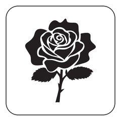 Vintage Flower Design with Classic Botanical Illustrations