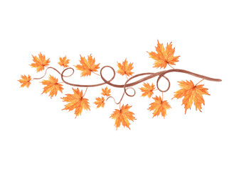 Maple branch with orange fall leaves. Autumn foliage composition. Hand drawn watercolor illustration isolated. Forest and park plants of Canadian nature. Clipart for postcard, Halloween, Thanksgiving.